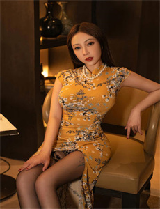法网追凶第三季