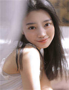 小精灵金仓鼠
