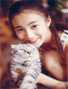 欧美黄a